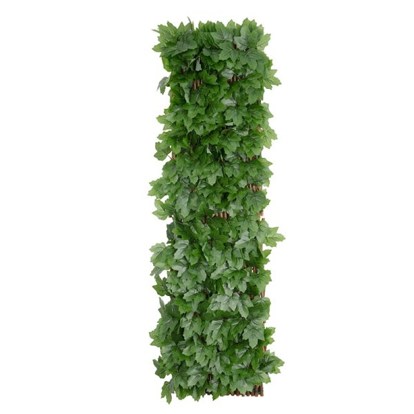 Boston Ivy Willow Fence