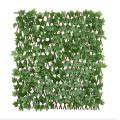 Boston Ivy Willow Fence