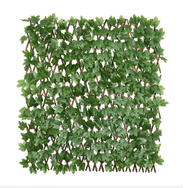 Boston Ivy Willow Fence