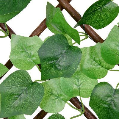 Green Grape Willow Fence