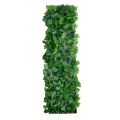 Green Grape Willow Fence