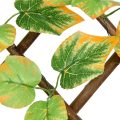 Artificial Grape Willow Fence