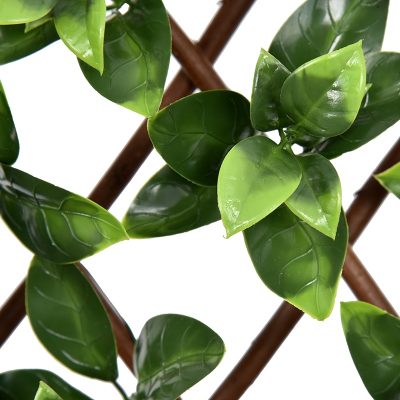 Gardenia Willow Fence Garden Privacy