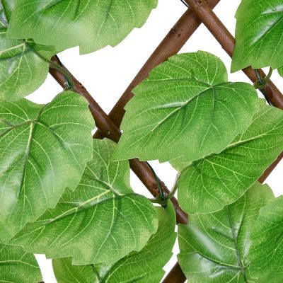 Poplar Leaf Willow Fence