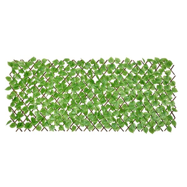 Poplar Leaf Willow Fence