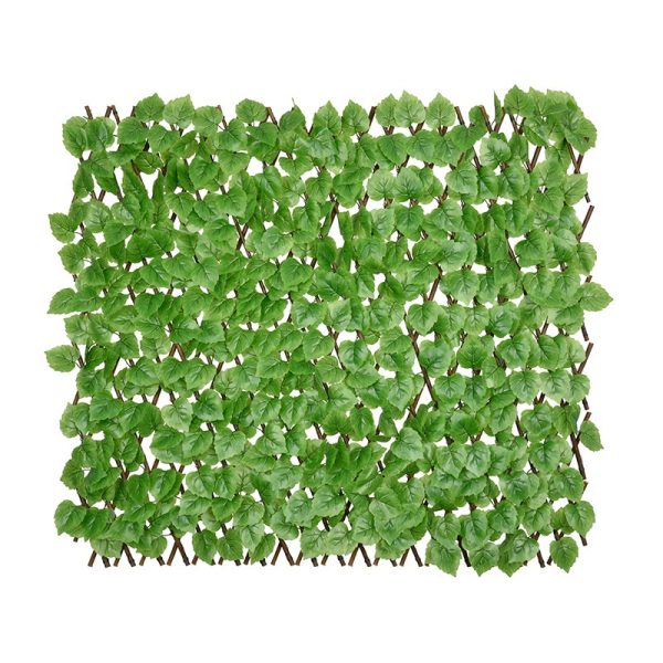 Poplar Leaf Willow Fence