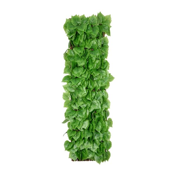 Poplar Leaf Willow Fence