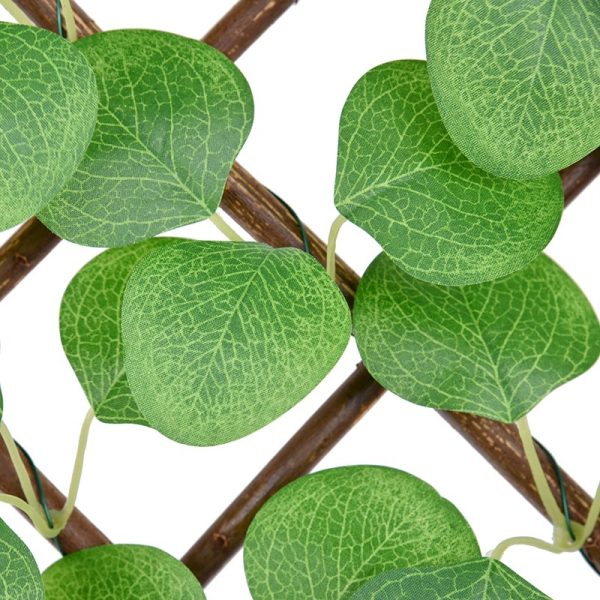 Eucalyptus Willow Fence Privacy Screening