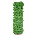 Eucalyptus Willow Fence Privacy Screening