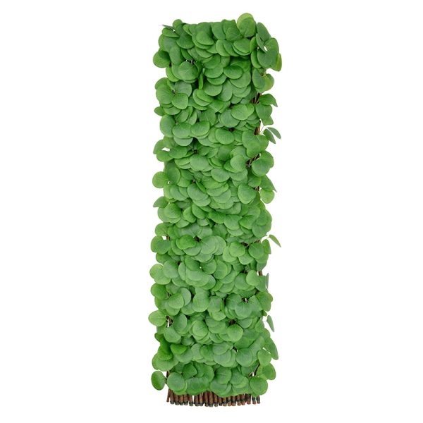 Eucalyptus Willow Fence Privacy Screening