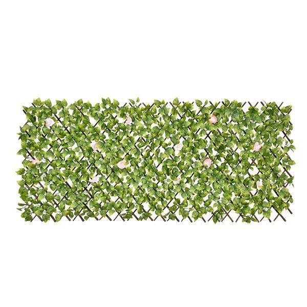 Scindapsus Aureus Willow Fence with Flowers