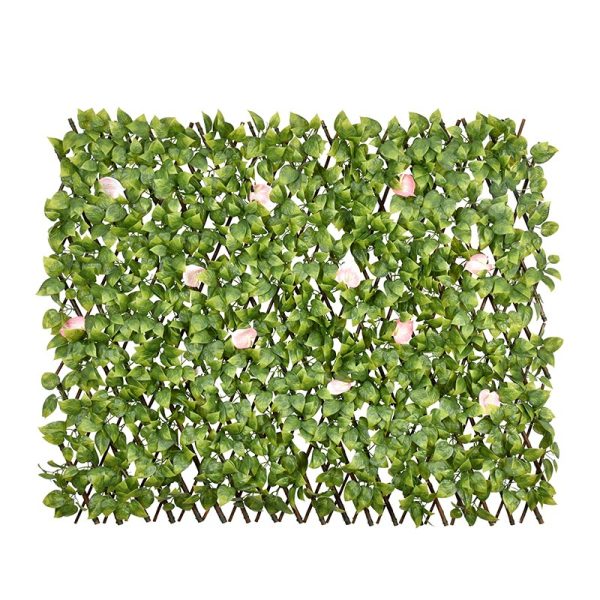 Scindapsus Aureus Willow Fence with Flowers