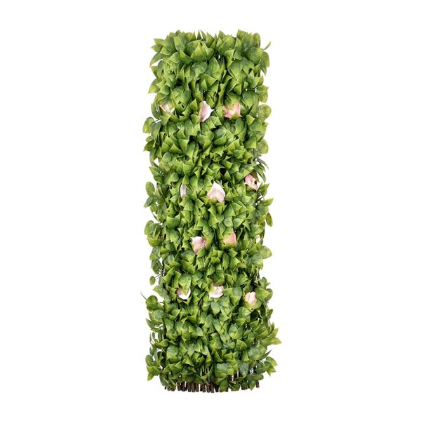 Scindapsus Aureus Willow Fence with Flowers