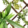 Expandable Willow Fence