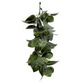 Artificial Scindapsus Vines for Indoor Wall Decor