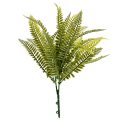 Lifelike Spleenwort Fern Branches for Decoration